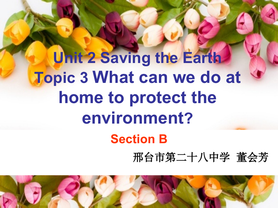 Unit 2 Saving the Earth-Topic 2 All these problems are very serious.-Section B-ppt课件-(含教案+视频+音频+素材)-市级公开课-仁爱科普版九年级上册(编号：603c8).zip