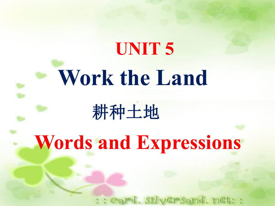 Unit 5 Words and expressions 重点单词讲解ppt课件-（2019）新人教版高中英语选择性必修第一册.pptx_第1页