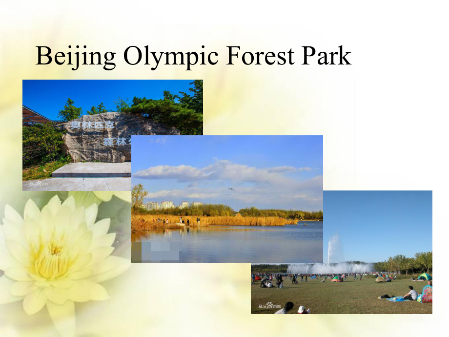 Unit 3 Fascinating Parks Using Language ppt课件 -（2019）新人教版高中英语选修一.ppt_第2页