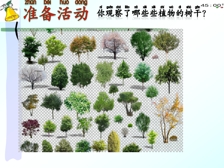 青岛版一年级下册科学11看茎认识植物动画版.pptx_第3页