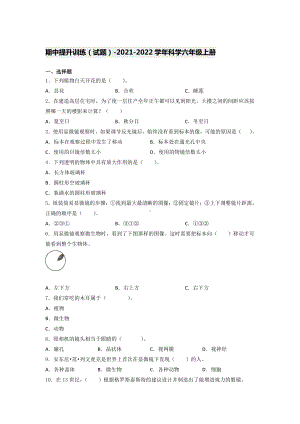 2021新教科版六年级上册科学期中提升训练 （试题）（含答案） (1).docx