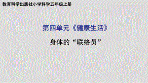 2021新教科版五年级上册科学4.5身体的“联络员” ppt课件.pptx