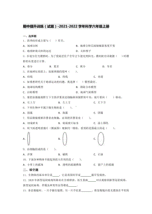 2021新教科版六年级上册科学期中提升训练 （试题）（含答案）.docx