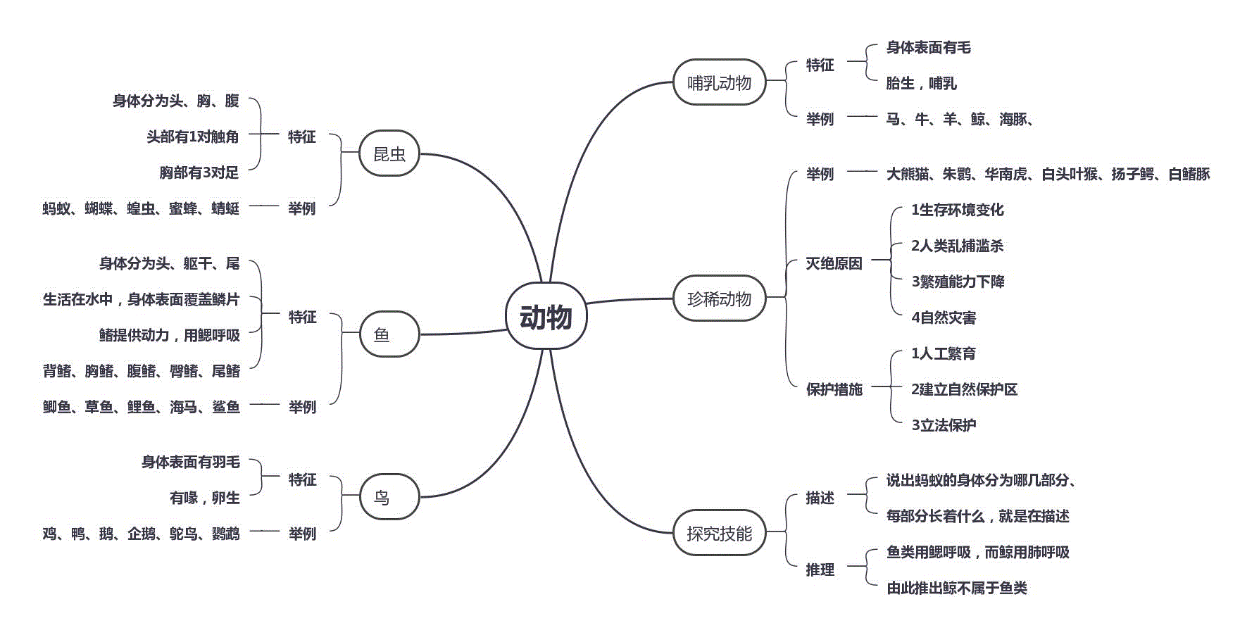 六三制2021新青岛版四年级上科学全册知识点思维导图高清图片版