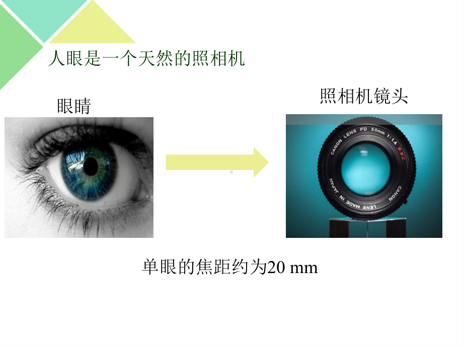 人教版物理八上：5.4眼睛和眼镜-课件（共24张PPT）.pptx_第3页