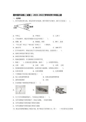 2021新教科版六年级上册科学期中提升训练 （试题）（含答案） (3).docx