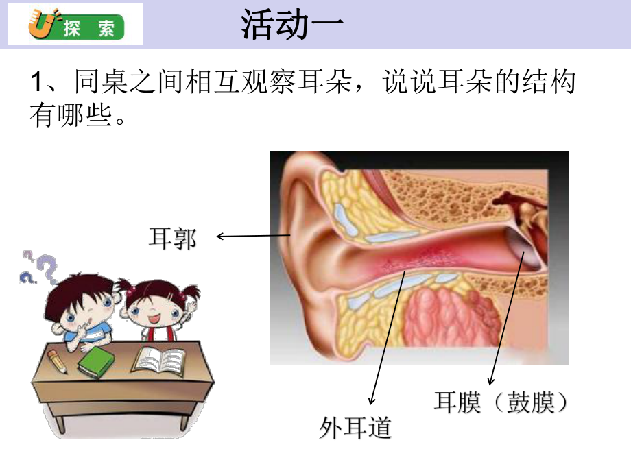 2021新教科版四年级上册科学1.4 我们是怎样听到声音的ppt课件.pptx_第3页