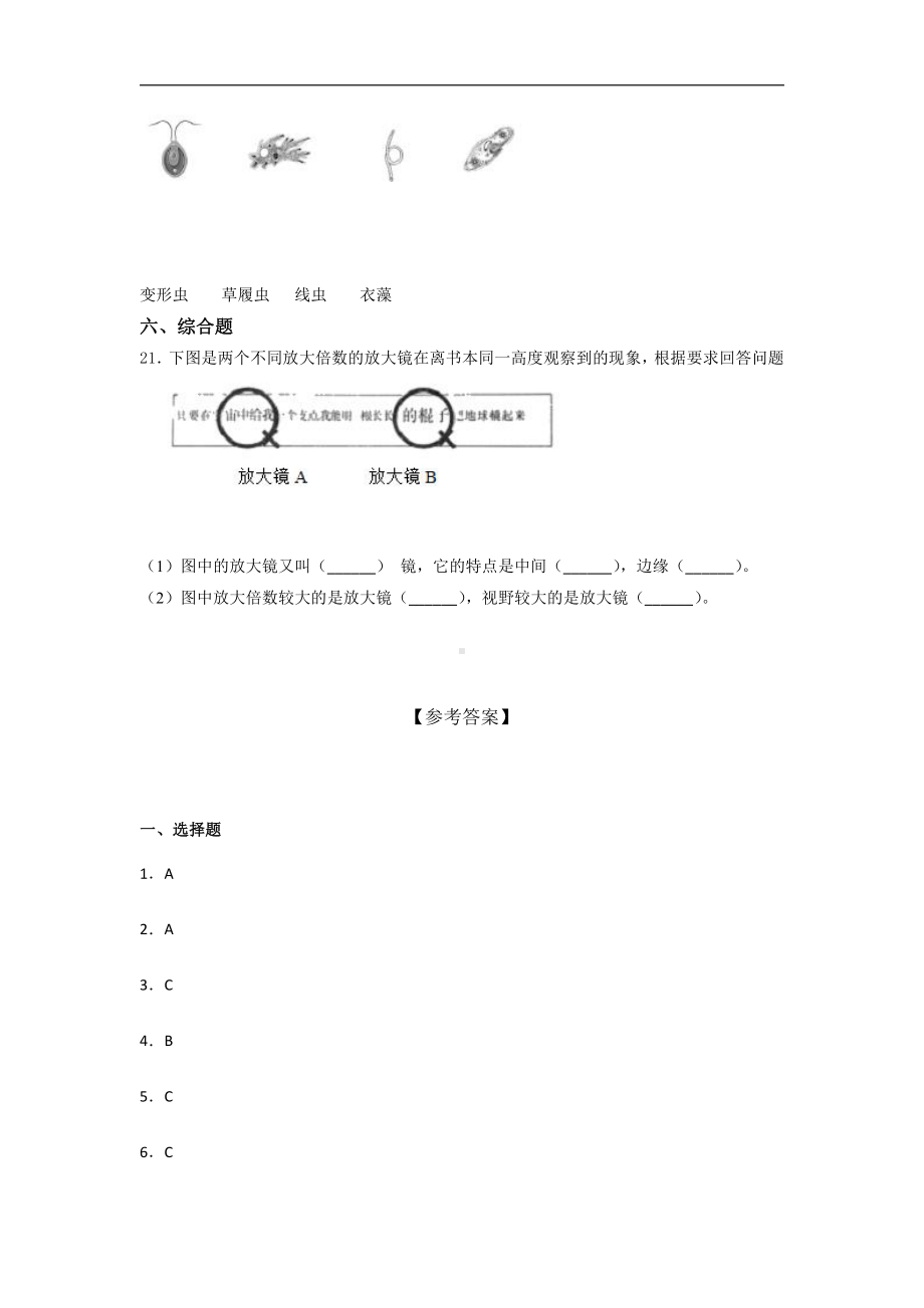 2021新教科版六年级上册科学期中综合练习（含答案） (3).docx_第3页