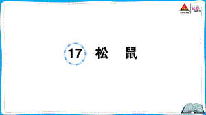 （人教）部编版五年级上册《语文》 17 松鼠.pptx