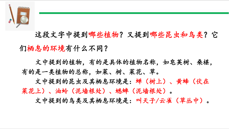 人教版生物七年级上册：1-1-2调查周边环境中的生物-课件.ppt_第3页