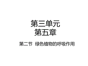 人教版生物七年级上册：3-5-2绿色植物的呼吸作用-课件.ppt