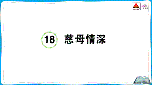 （人教）部编版五年级上册《语文》 18 慈母情深.pptx