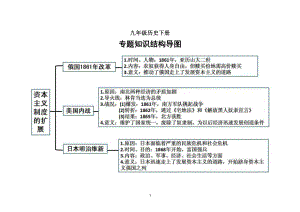 初中历史部编版九年级下全册专题知识结构导图.doc