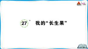 （人教）部编版五年级上册《语文》 27 我的“长生果”.pptx