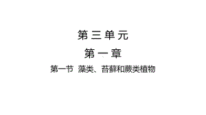 人教版生物七年级上册：3-1-1藻类、苔藓和蕨类植物-课件.pptx