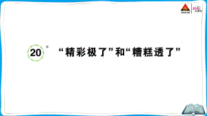 （人教）部编版五年级上册《语文》 20 “精彩极了”和“糟糕透了”.pptx