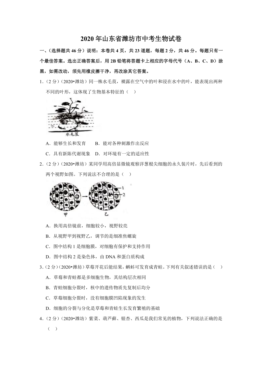 2020年山东省潍坊市中考生物试卷.docx_第1页