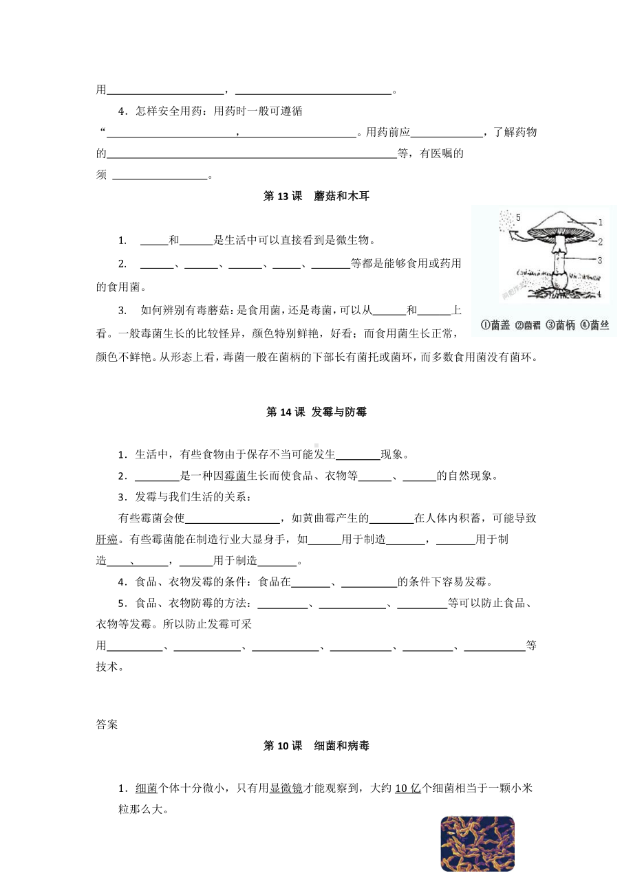 2021新青岛版（五四制）五年级上册科学第四单元 微生物 同步练习（含答案）.doc_第3页