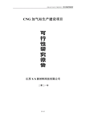 CNG加气站生产项目可行性研究报告-立项方案.doc