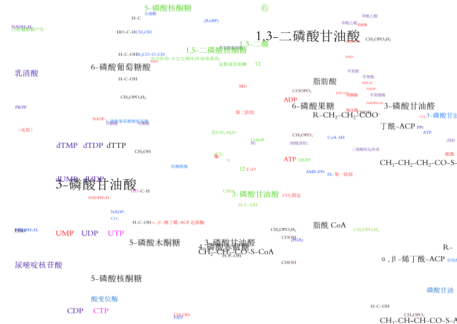 生物化学代谢图.doc_第2页