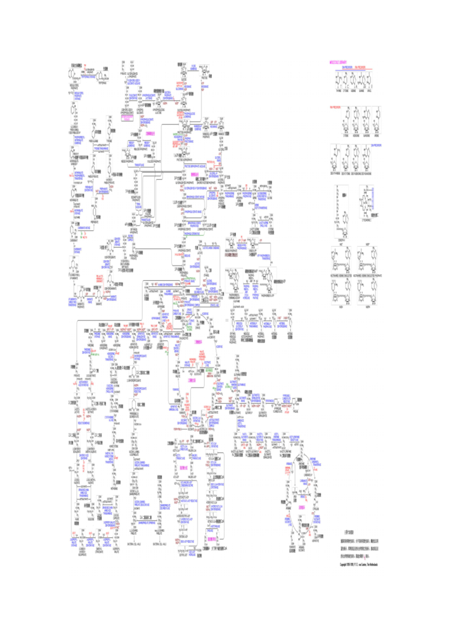 大学生物化学所有反应关联图.doc_第2页