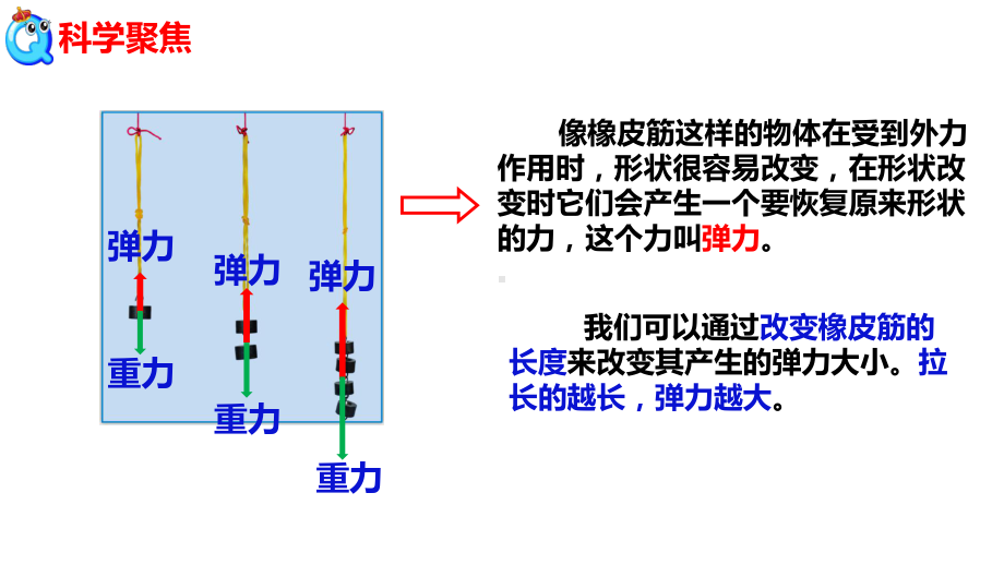 2021新教科版四年级上册科学 3.4弹簧测力计 ppt课件.pptx_第2页