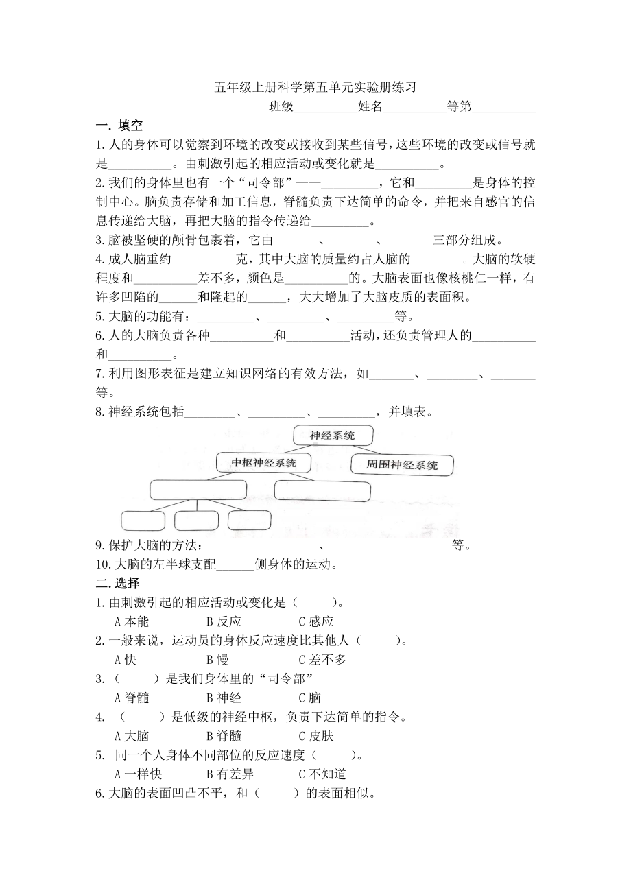 2021新苏教版五年级上册科学第五单元 人体“司令部”实验册练习（无答案）.docx_第1页