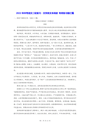 2022年中考语文二轮专题复习：文学类文本阅读.docx