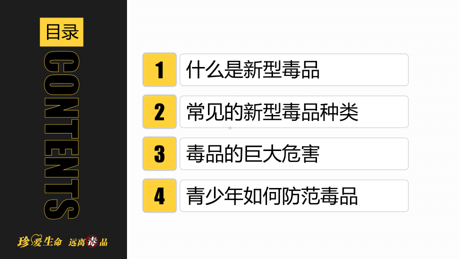 6.26国际禁毒日禁毒知识宣传全民禁毒健康生活PPT课件（带内容）.pptx_第2页