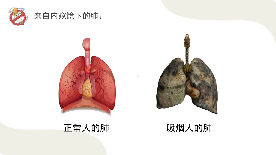 摒弃吸烟陋习呵护生命健康吸烟有害健康主题班会PPT课件（带内容）.pptx_第3页