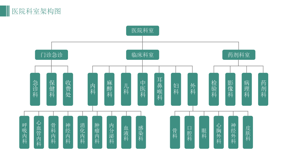 医院科室组织架构图部门人物关系PPT模板.pptx_第2页