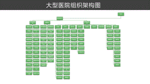 大型医院组织架构.pptx