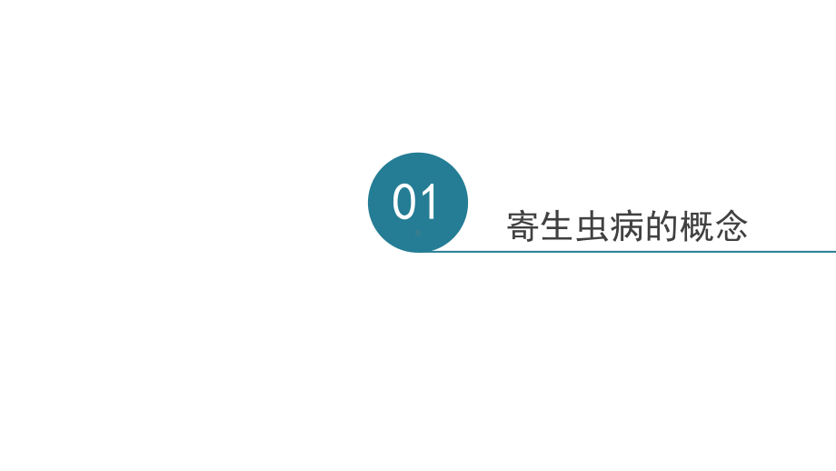 寄生虫病与检验医学护理PPT模板.pptx_第3页