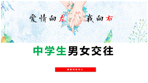 爱情向左我向右.pptx