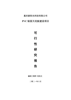 PVC贴面天花板项目可行性研究报告-用于立项备案.doc