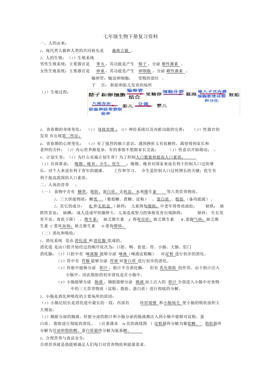 七年级生物下册期末复习资料.doc_第1页