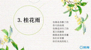 （班海精品）部编版语文五年级上册-3.桂花雨 第2课时（优质课件）.pptx