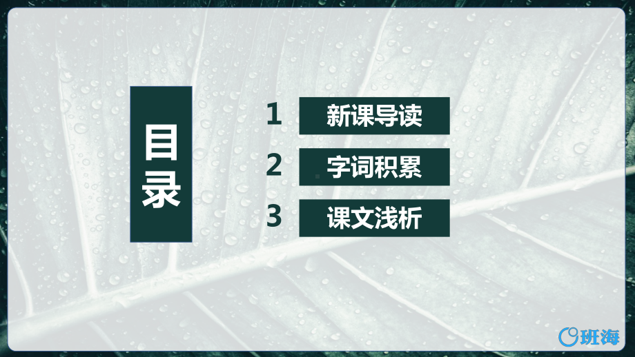 （班海精品）部编版语文八年级上册-17.昆明的雨 第1课时（优质课件）.pptx_第2页