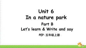 PEP人教版五年级英语上册Unit6PartB第5课时课件.ppt