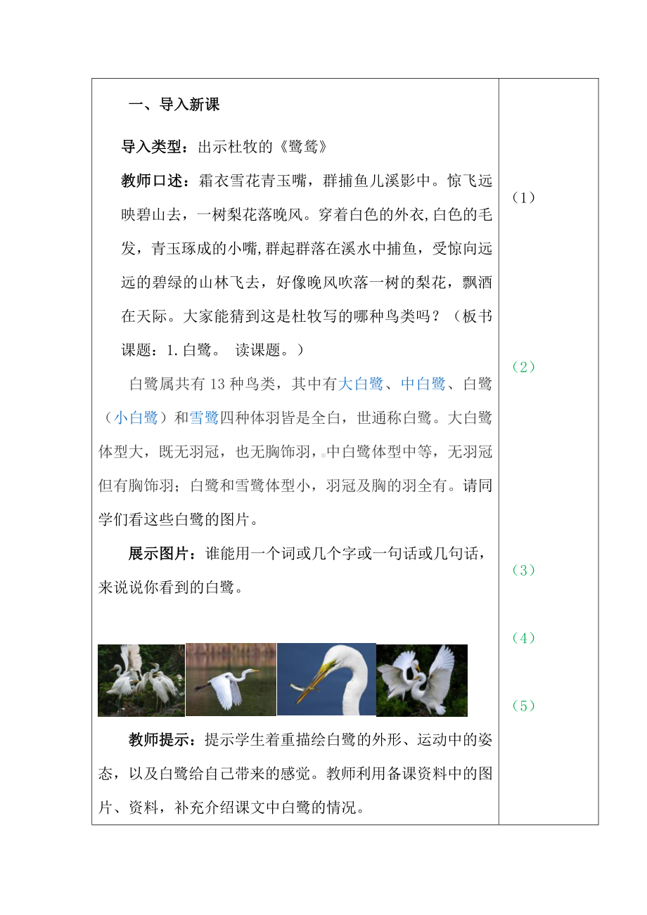 （班海精品）部编版语文五年级上册-1.白鹭（优质教案）.doc_第2页