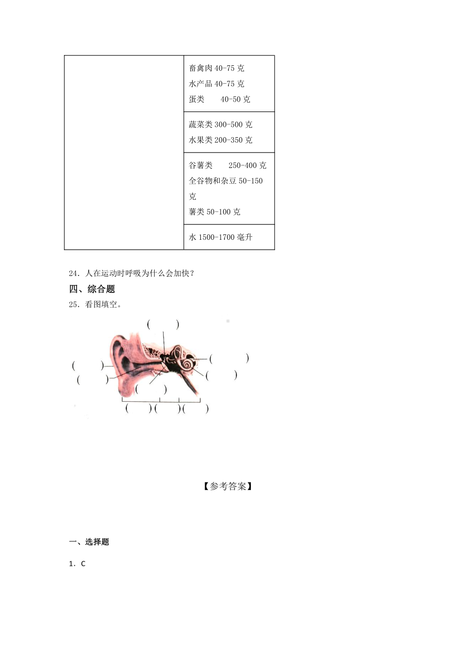 2021新教科版四年级上册科学 期末培优训练题（含答案） (1).docx_第3页