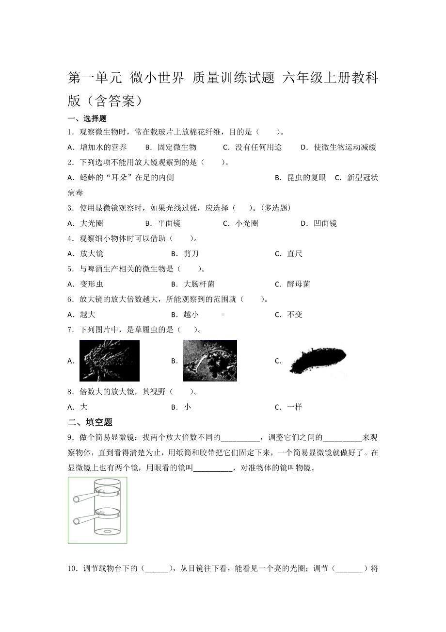 2021新教科版六年级上册科学第一单元 微小世界 质量训练试题 （含答案） (2).docx_第1页