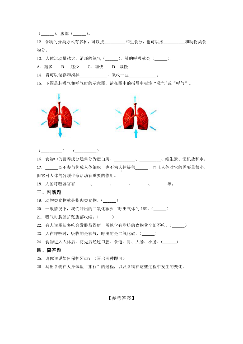 2021新教科版四年级上册科学第二单元测试题（含答案） (1).docx_第2页