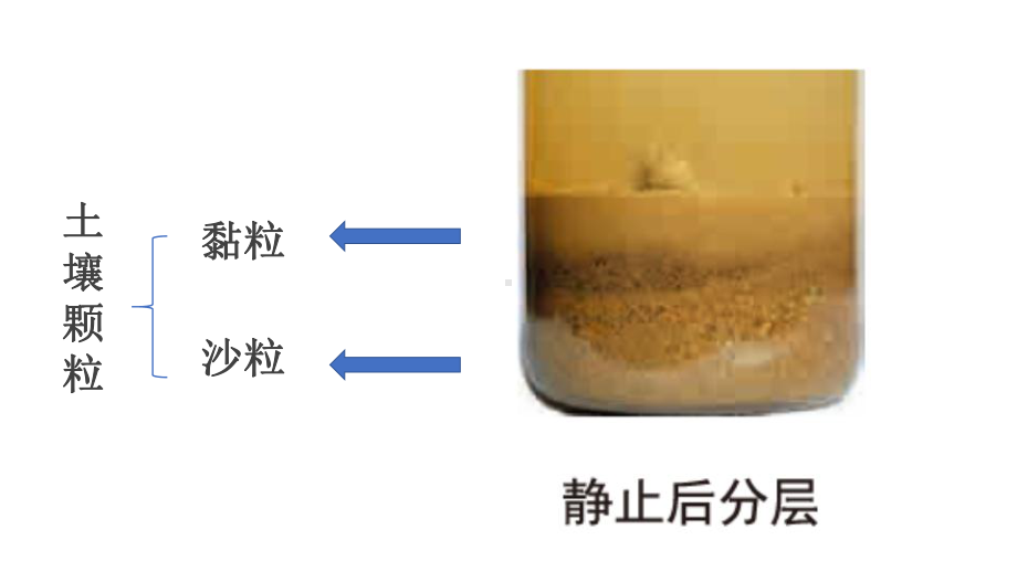 3.7《比较不同的土壤》ppt课件-2022新教科版四年级下册科学.pptx_第1页