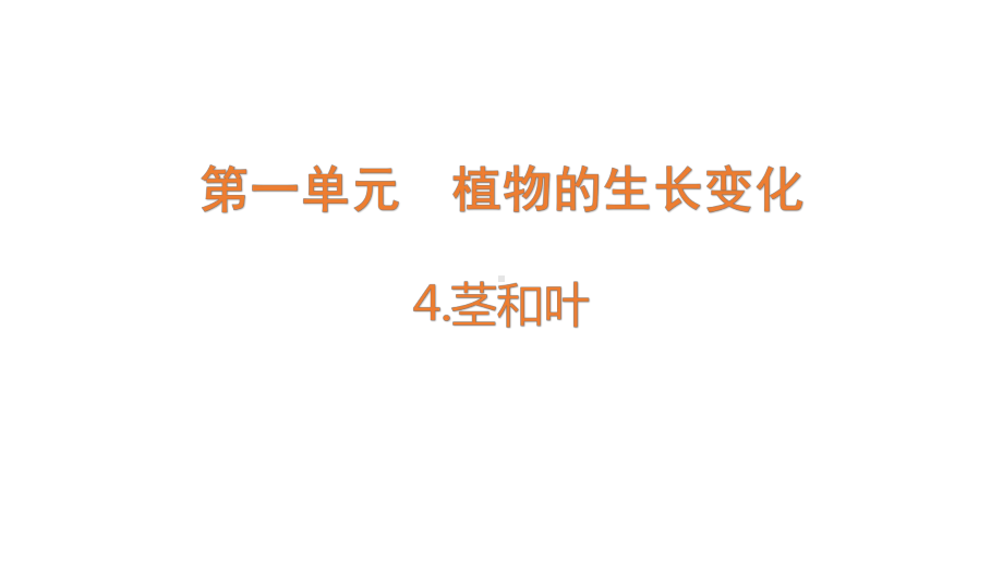 1-4《茎和叶》ppt课件-2022新教科版四年级下册科学.pptx_第1页