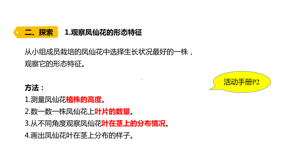 1-4《茎和叶》ppt课件-2022新教科版四年级下册科学.pptx_第3页