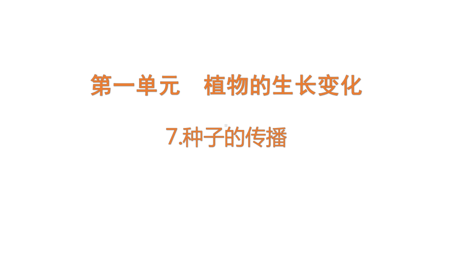 1.6果实和种子1-7《种子的传播》ppt课件-2022新教科版四年级下册科学.pptx_第1页