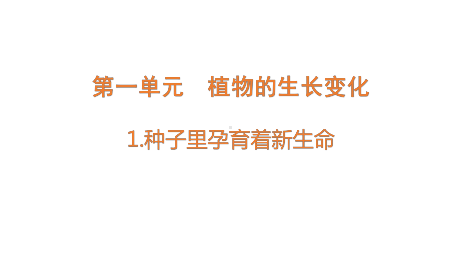 1-1《种子里孕育着新生命》ppt课件-2022新教科版四年级下册科学.pptx_第1页