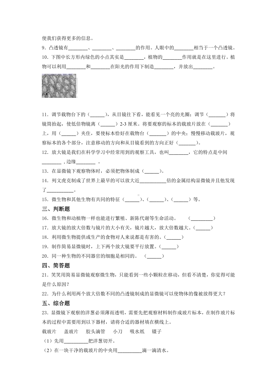 2021新教科版六年级上册科学第一单元微小世界测试题（含答案） (3).docx_第2页