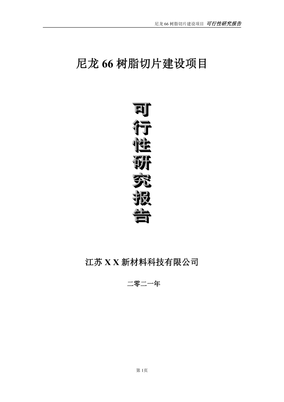 尼龙66树脂切片项目可行性研究报告-立项方案.doc_第1页